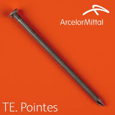 Pointe tête plate en acier clair 4.5x100mm - Gedimat - ARCELOR MITTAL WIRE SOLUTIONS