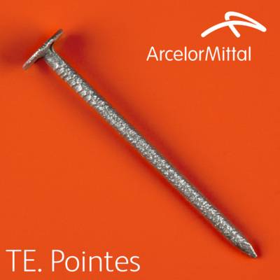 Pointe à tête plate extra large galva 2,7x30mm - Gedimat - ARCELOR MITTAL