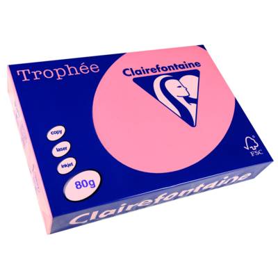 Ramette 500 Feuilles Papier 80g A4 210x297 mm Certifié FSC EGLANTINE - CLAIREFONTAINE