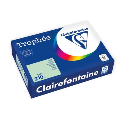 Ramette Papier FSC A4 210g 250 Feuilles Vert