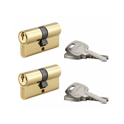 Cylindres de serrure - 30x30 mm - 6 clés - Gedimat - THIRARD
