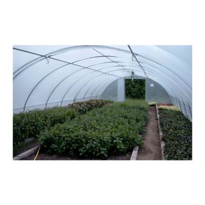 Serre Tunnel Professionnelle Bretagne – Serres Tonneau