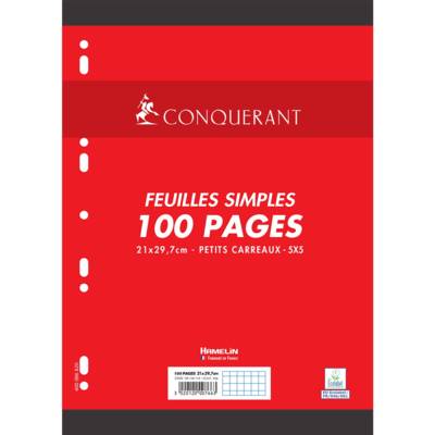 Paquet Feuilles Simples 100 Pages A4 80g Petits Carreaux
