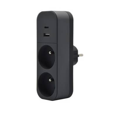Biplite 2P 16A avec prise USB - anthracite - Gedimat - QUARX