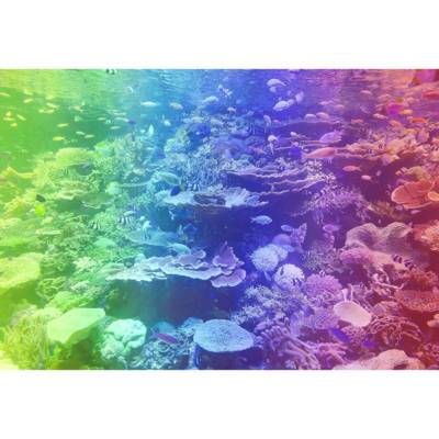 Puzzle en Bois CORAL REEF XL