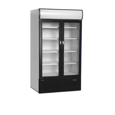 Vitrine froid positif positif 2 portes battantes