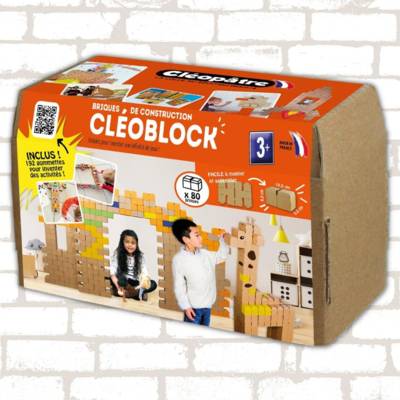Pack 80 Briques de construction Cléoblock 10,5x6,5x5,5cm - CLÉOPÂTRE