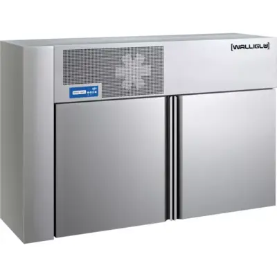 Armoire murale froid positif 2 portes GN1/1 - FPR/2VH