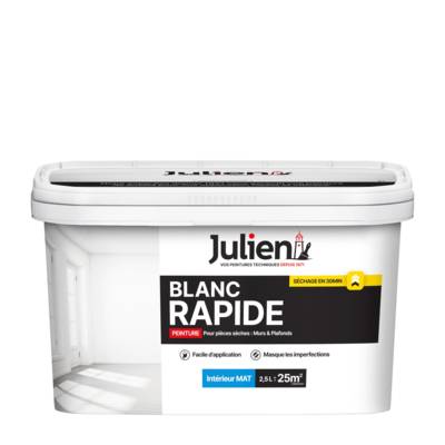 Peinture murs et plafonds BLANC RAPIDE mat blanc white - Gedimat - JULIEN