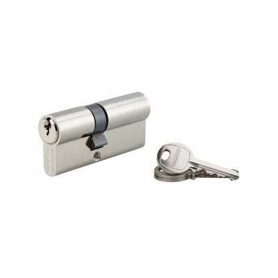 Cylindre de serrure double entrée SA, 30 x 40 mm, anti-arrachement, nickel, 3 clés - 1 pièce - THIRARD - 00016268 - Maxoutil