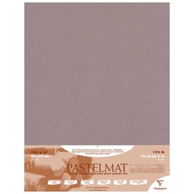 Paquet de 5 feuilles Pastelmat gris foncé 50x70cm 360g