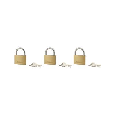 Cadenas à clés type1 - anse acier - 45 mm - 6 clés - lot de 3 - Gedimat - THIRARD
