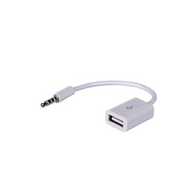 Adaptateur USB 2.0 vers Mini Jack 15cm Blanc - AKYGA
