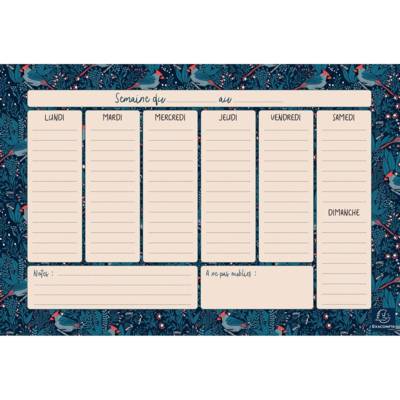 Bloc 60 Feuillets Hebdo Planner Color Design 26,5 x 18 cm - Bleu - EXACOMPTA