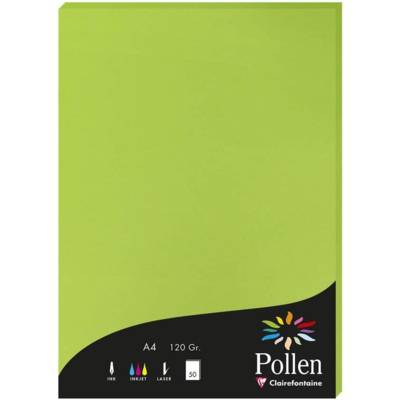 Etui de 50 Feuilles 210x297 vert menthe 120g
