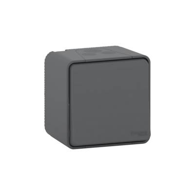 Va-et-vient en saillie IP55 IK08 gris MUREVA - Gedimat - SCHNEIDER ELECTRIC