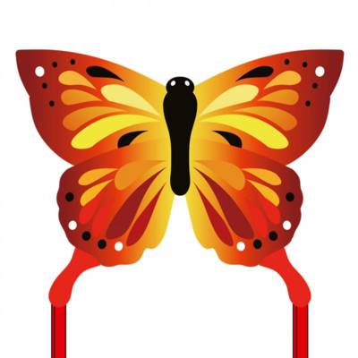 Cerf-volant Monofil Enfants ECOLINE BUTTERFLY KITE SUNRISE