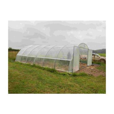 Serre Tunnel Professionnelle Normandie - 6m50 x 9m00