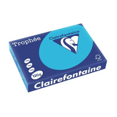 Ramette 250 Feuilles Papier 120g A4 210x297 mm Certifié FSC Bleu royal - CLAIREFONTAINE