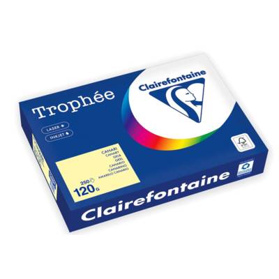 Ramette Papier FSC A4 120g 250 Feuilles CANARI