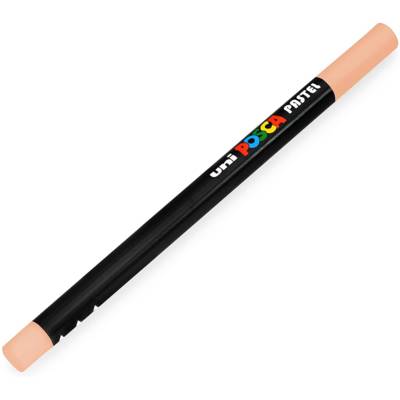 Bâtonnet de pastel kpa100 rs rose saumon