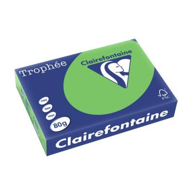 Ramette 500 Feuilles Papier 80g A4 210x297 mm Certifié FSC vert menthe