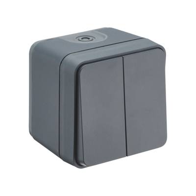 Interrupteur double va et vient CYKLONE - gris - Gedimat - DEBFLEX