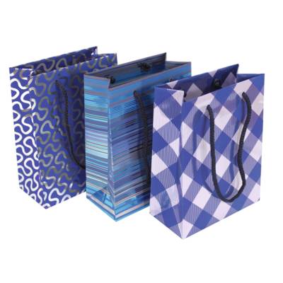 Sac moyen 17x6x22cm modèle aléatoire Bleu - CLAIREFONTAINE