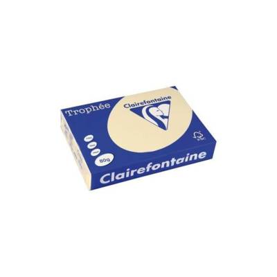 Ramette 500 Feuilles Papier 80g A3 420x297 mm Certifié FSC  CHAMOIS