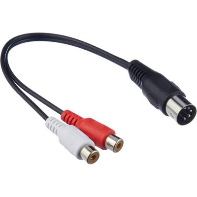 Câble Adaptateur DIN 5 pin / 2xRCA  0.2 m
