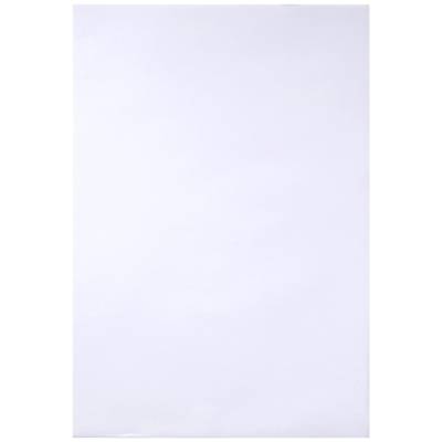 Ramette de 250 feuilles de papier dessin croquis blanc 55 g A4