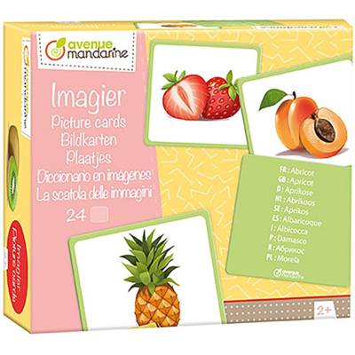 Boite imagiers 24 cartes multilingues (traduction 10 langues) 11,5x12,7 cm, Fruits