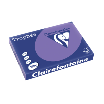 Ramette 250 Feuilles Papier 160g A3 420x297 mm Certifié FSC  violine