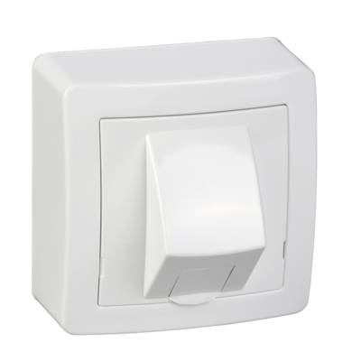 Prise RJ 45 simple catégorie 6 UTP avec cadre saillie blanc polaire ALREA - Gedimat - SCHNEIDER ELECTRIC