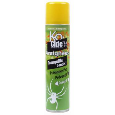 Insecticide Laque anti-araignées KOCIDE 405 ml - KA