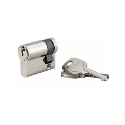 Demi -cylindre profilé 30x10 mm nickelé 3 clés - Gedimat - THIRARD