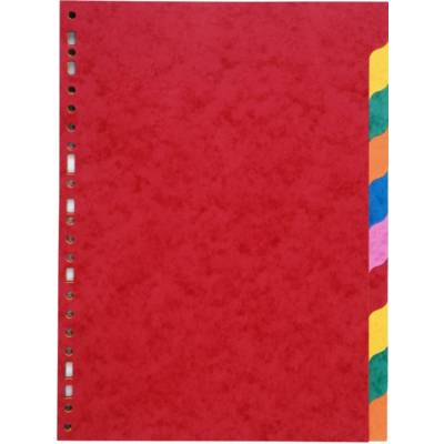 Jeu de 10 intercalaires format A4 Carte Lustrée