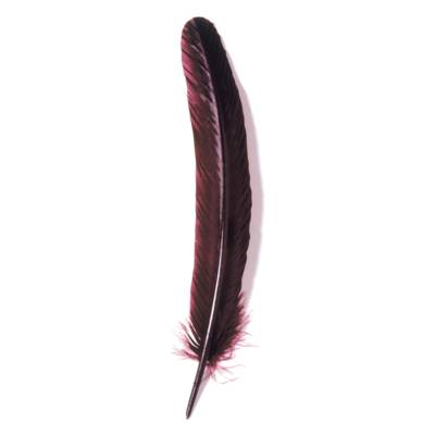 Plumes d'oie taillées 28cm Bordeaux - HERBIN