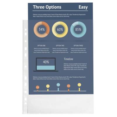 Sachet 100 pochettes perforées PP A4 grainé 5/100 Transparent