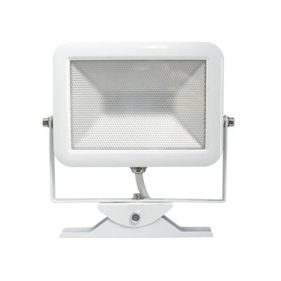 Projecteur slim LED 30W blanc Electraline - Gedimat