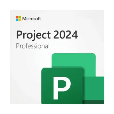Microsoft Project 2024 Professionnel