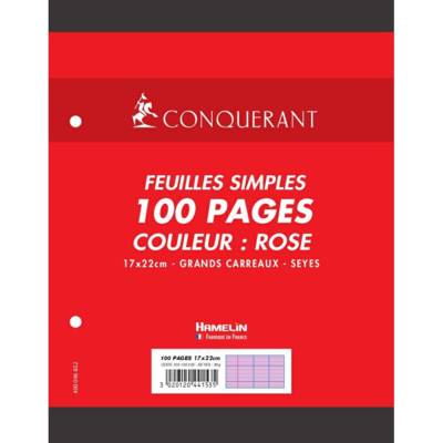 Feuillets mobiles 17x22cm 100p 80g  rose