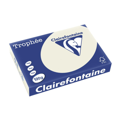 Ramette 250 Feuilles Papier 120g A4 210x297 mm Certifié FSC GRIS PERLE - Clairefontaine