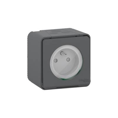 Prise de courant en saillie 2 pôles+terre 16A 250V IP55 gris MUREVA - Gedimat - SCHNEIDER ELECTRIC