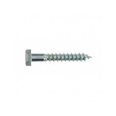 Tirefond acier zingué diam.6mm long.50mm en boîte de 200 pièces - Gedimat - VYNEX