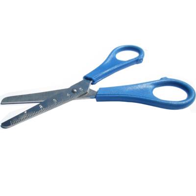 Ciseaux Scolaire Inox Lame Graduée Anneaux Moulés Bout Rond 13 cm Coloris Aléatoire