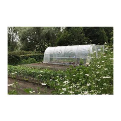 Serre de jardin - Jardinière 3m00 x 8m00