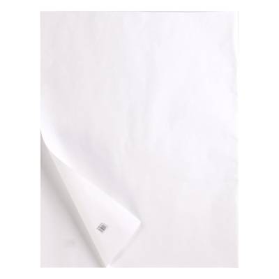 Rame 10 Feuilles Papier Calque Hautement Transparent - A4 21x29,7 cm 285g - CLAIREFONTAINE
