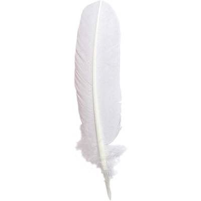 Plume d'oie taillées 28cm Blanc