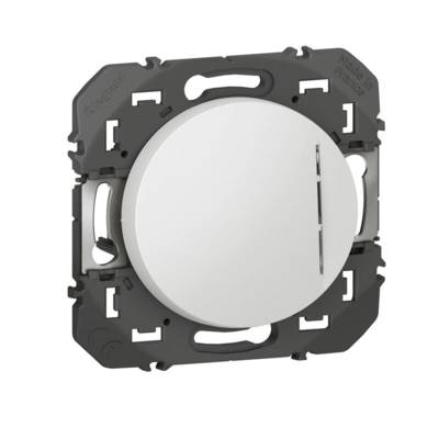 Va et vient avec voyant témoin DOOXIE blanc 10AX 250V - Gedimat - LEGRAND